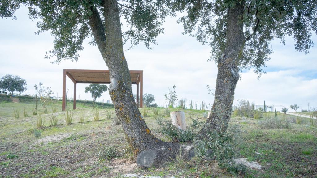 Lugar de esparcimiento de cenizas.