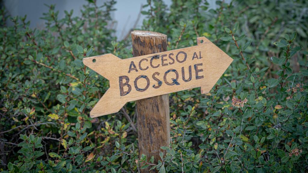 Imagen de la entrada a Recordarium.