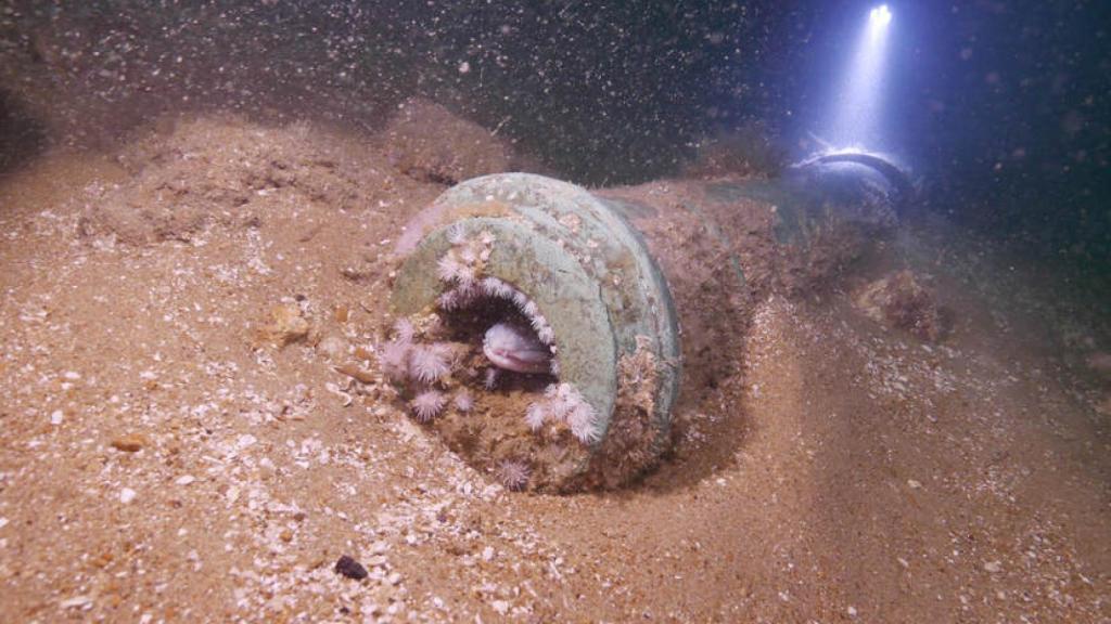Imagen de uno de los cañones del pecio.