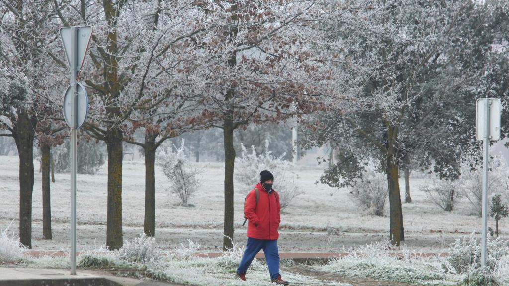 Intensa helada en el Bierzo