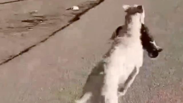 Captura de pantalla 2023-01-30 a las 12.11.46