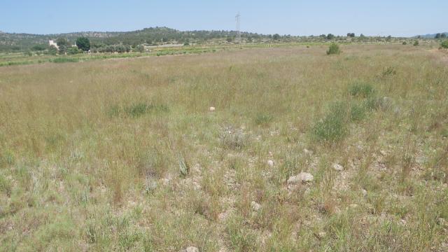 Terrenos de Monóvar en los que está prevista la ubicación de la nueva planta.