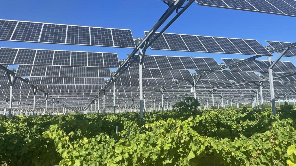 Cultivos agrovoltaicos en los Pirineos Orientáles