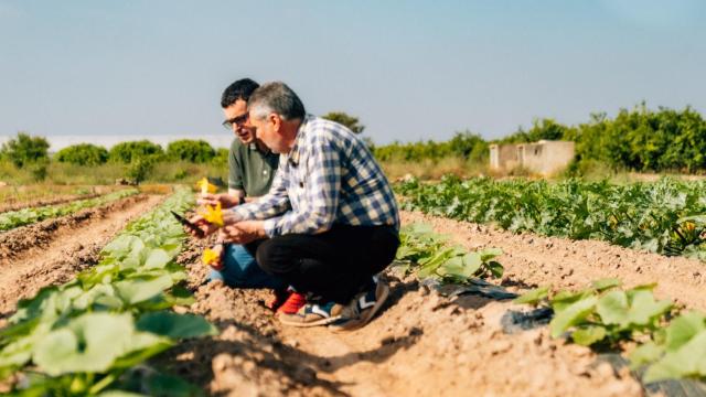 Cómo combatir el cambio climático desde la mesa