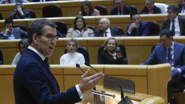 El líder del PP, Alberto Núñez Feijóo, este martes en el pleno del Senado.