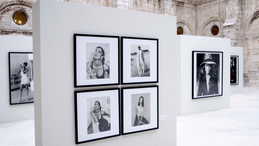 Paneles en la exposición