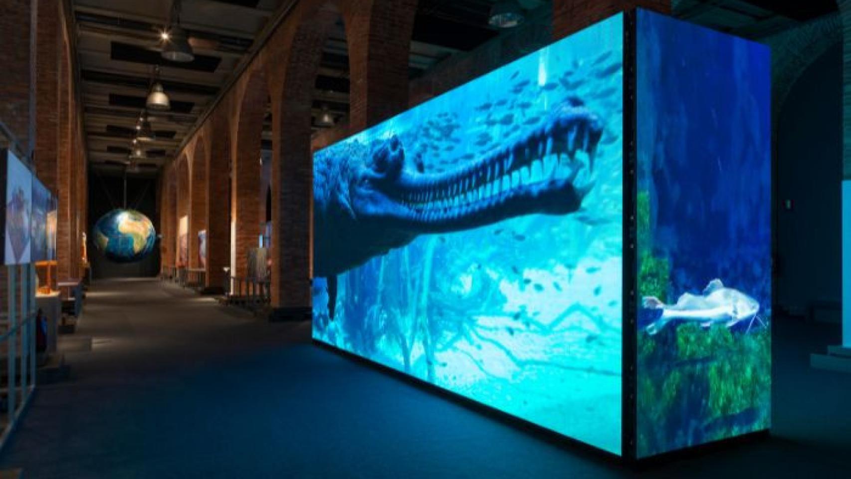 Exposición Somos Agua.