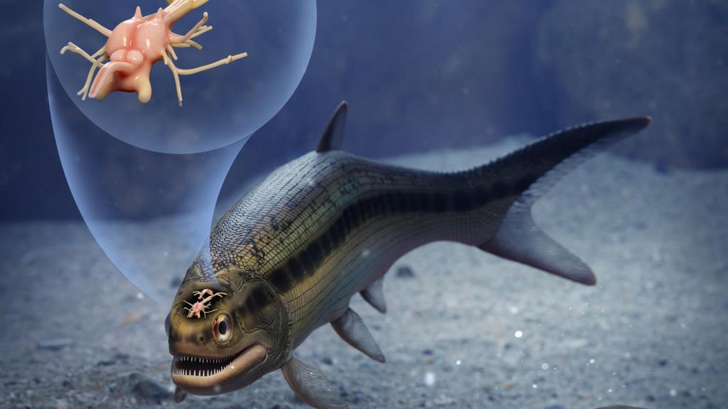 Reconstrucción propuesta del Coccocephalus wildi. Márcio L. Castro.