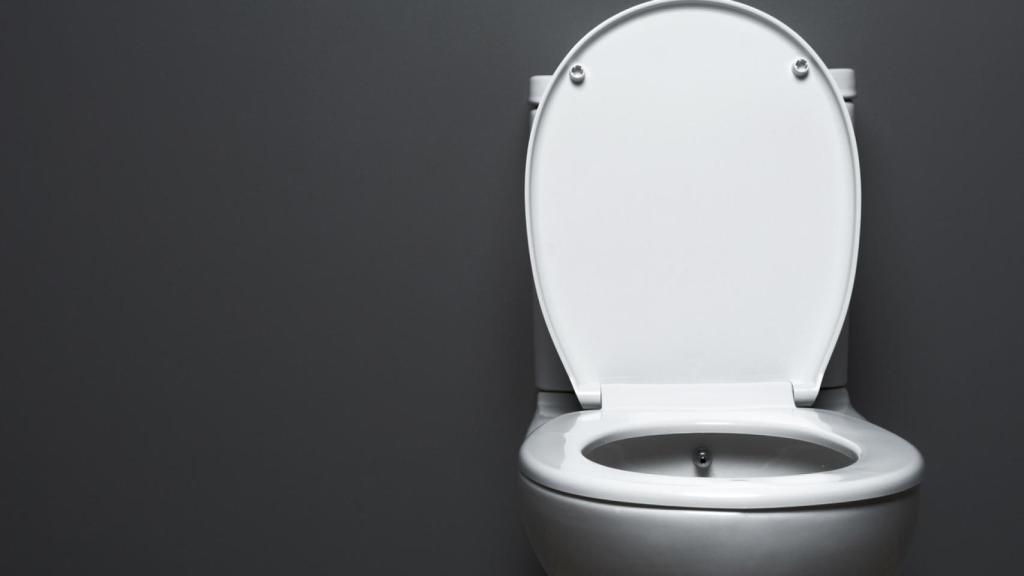 El producto que debes echar de noche en el váter para que esté limpio por la mañana