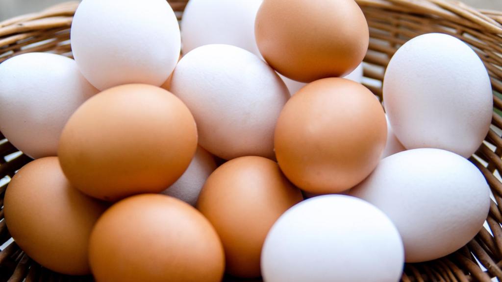 Huevos
