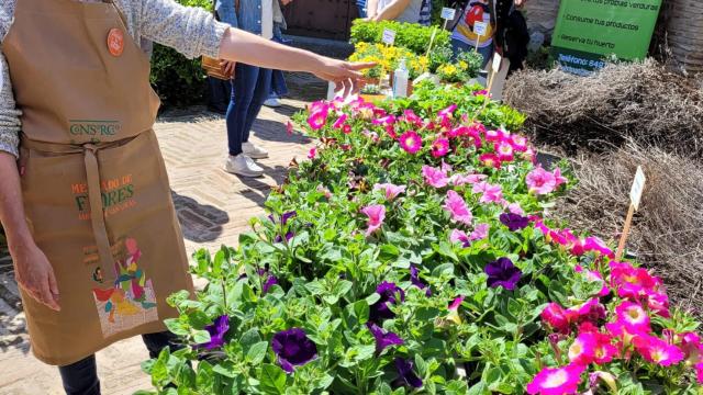 Mercado de Flores de Toledo