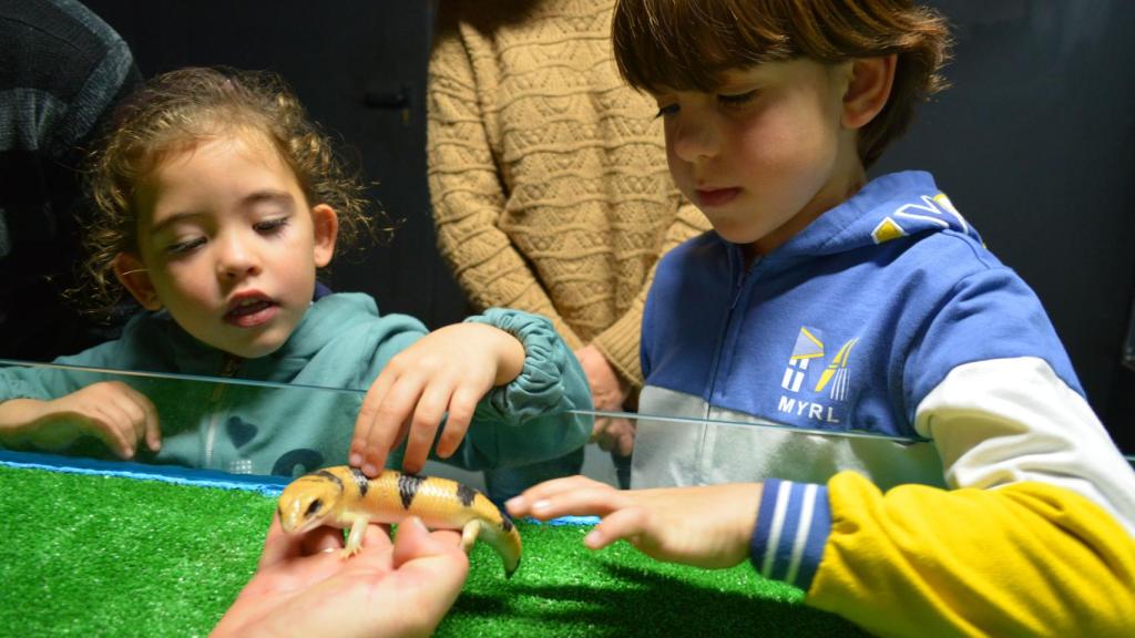 Unos niños tocando el pez de arena de Terra Natura.