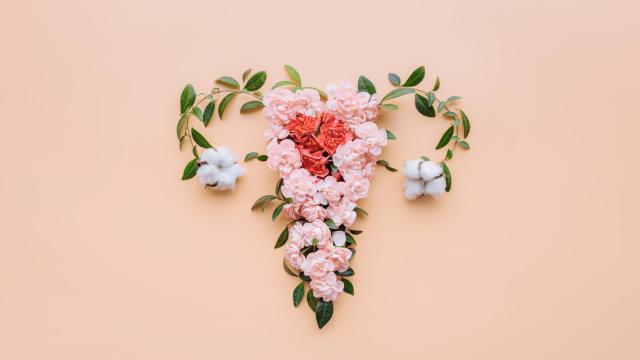 ovarios detox hormonas