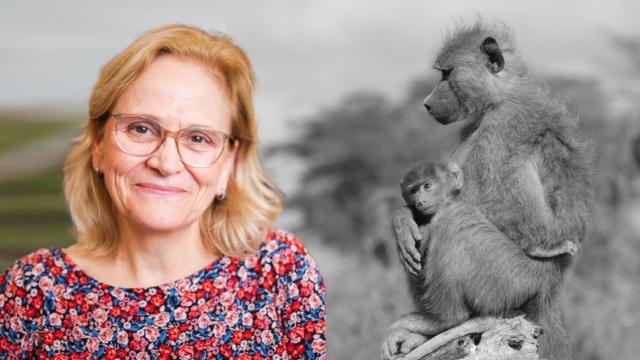 Susan Alberts, catedrática de Biología y Antropología Evolutiva en la Universidad de Duke.