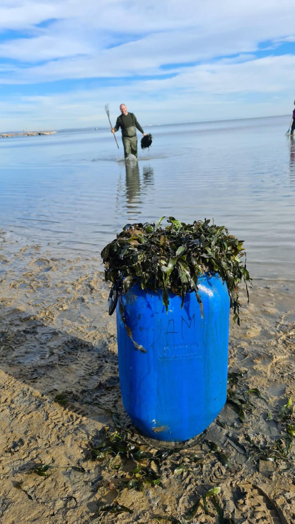 Un cubo lleno de algas en la cubeta sur del Mar Menor.
