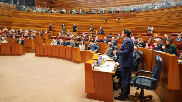 Imagen del pleno de las Cortes del pasado mes de enero