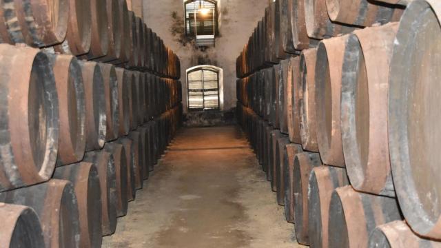Interior de la bodega Cayetano del Pino