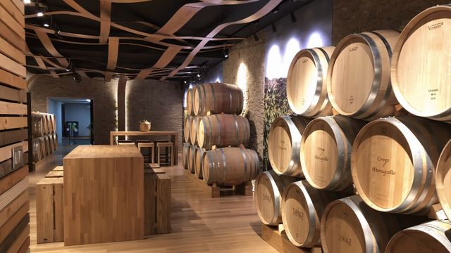 Bodega de la D.O. Monterrei Creo e Monaguillo.