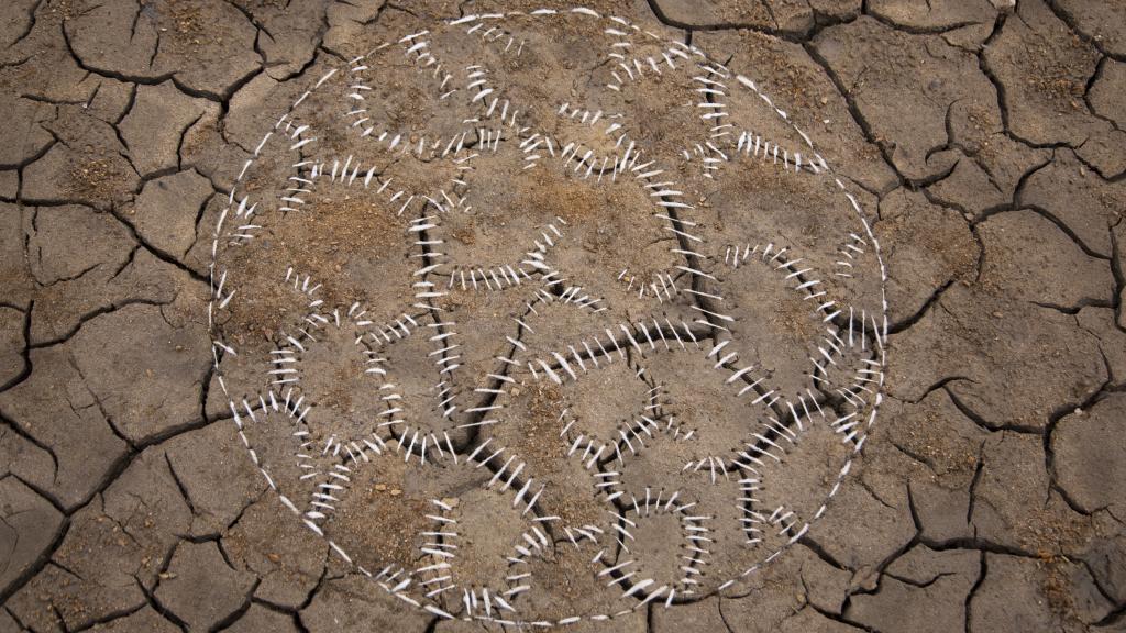 Lucía Loren: 'Ciclo Seco', 2018