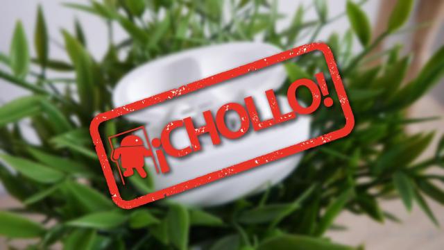 Cancelación de ruido por menos de 50 euros