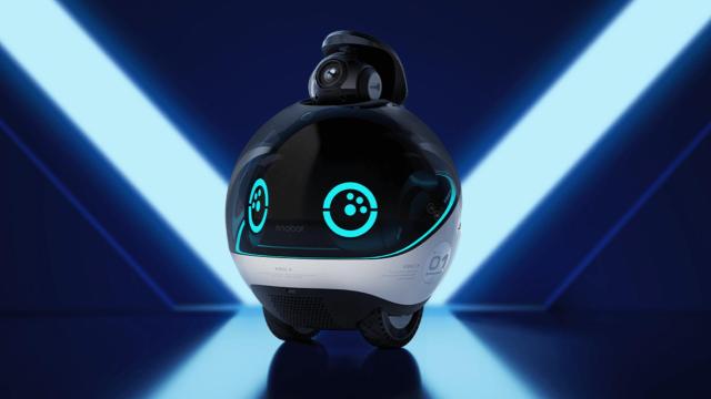 El robot EBO X.