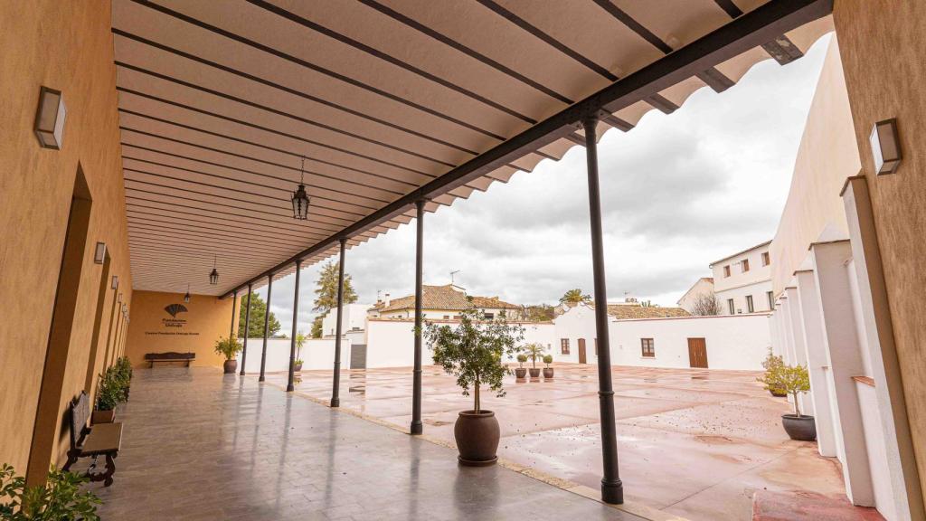 El interior del nuevo centro en Ronda.
