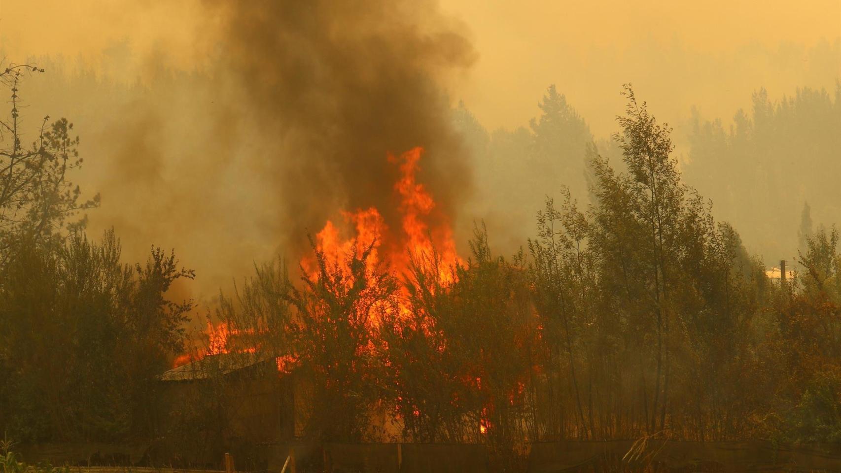 Bomberos forestales y expertos de Castilla-La Mancha colaboran en la extinción del fuego en Chile