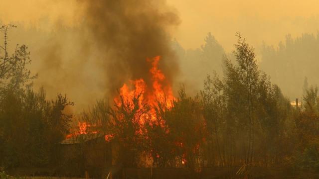 Bomberos forestales y expertos de Castilla-La Mancha colaboran en la extinción del fuego en Chile