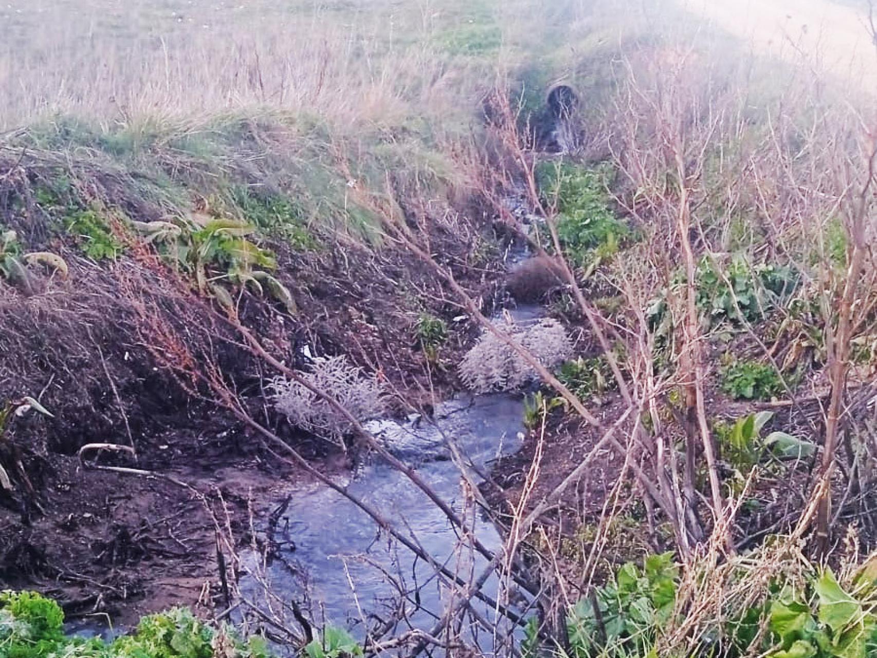 Vertidos sin depurar