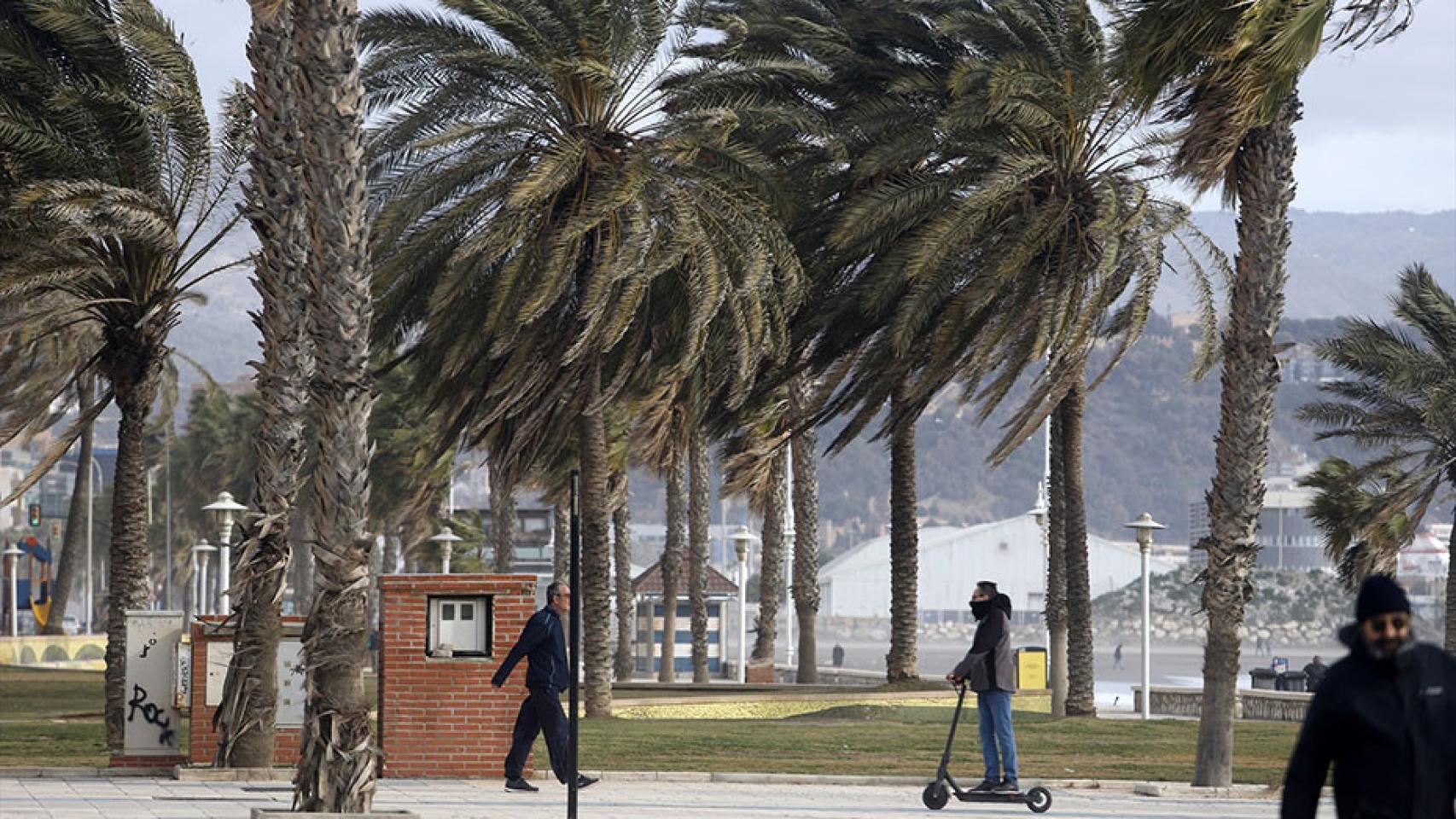 Málaga registra el mayor número de avisos a causa del viento.