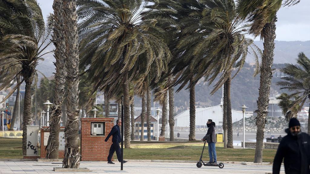 Málaga registra el mayor número de avisos a causa del viento.