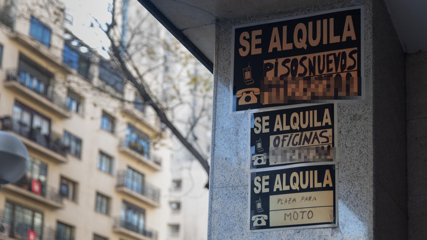 Diferentes carteles de inmuebles en alquiler.