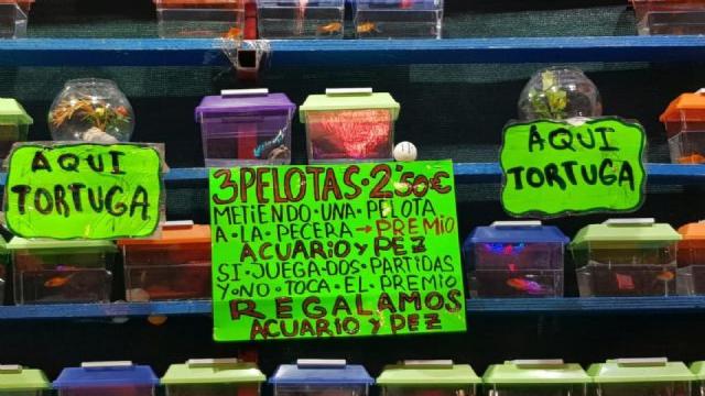 Diversos premios con animales en una feria ambulante.