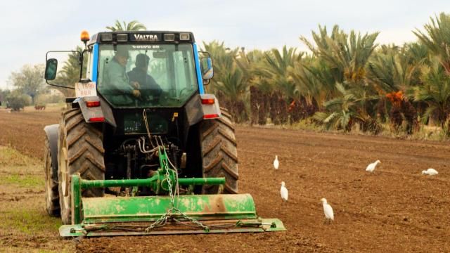 La edad media a la que se lanzan a emprender en el medio rural es de 38 años.