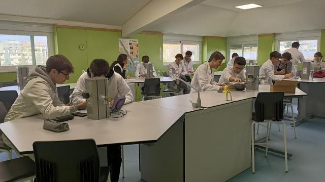 Colegio San Agustín (Madrid)