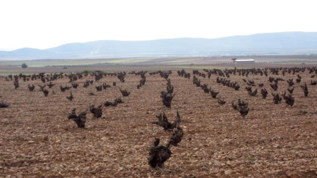 Imagen de archivo. Foto: Europa Press.