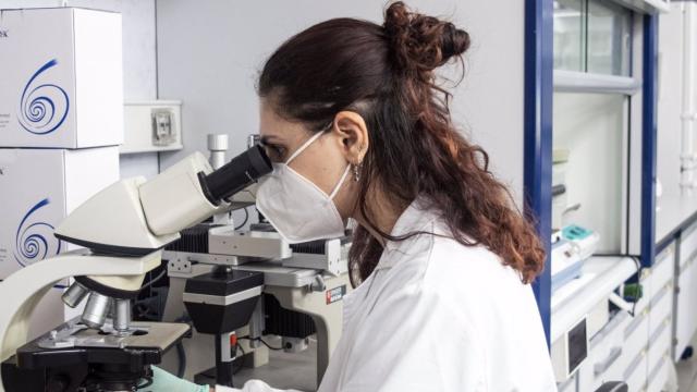 Investigadora.