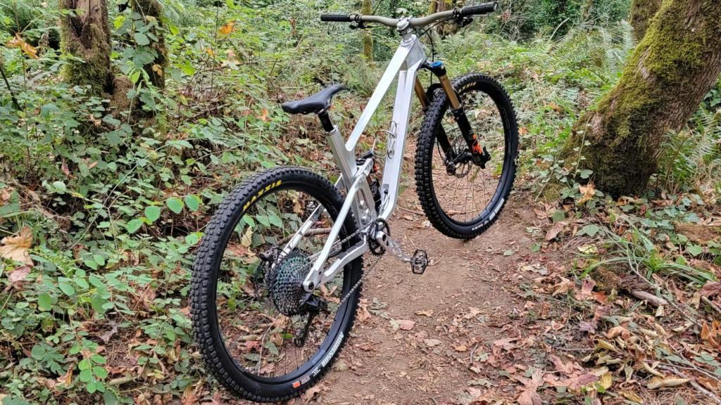 La bicicleta de montaña Psalm 150.