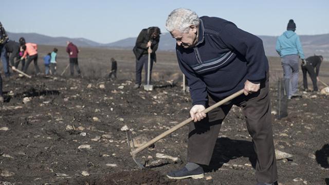 Las asociaciones Teleno Libre y URZ plantarán 500 árboles para repoblar el monte de Boisán.