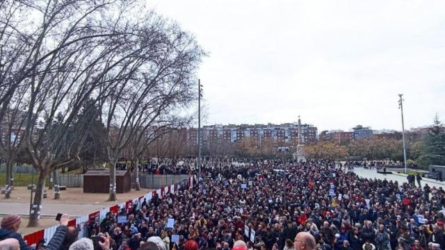 Cientos de personas se manifiestan contra la tala masiva de árboles.
