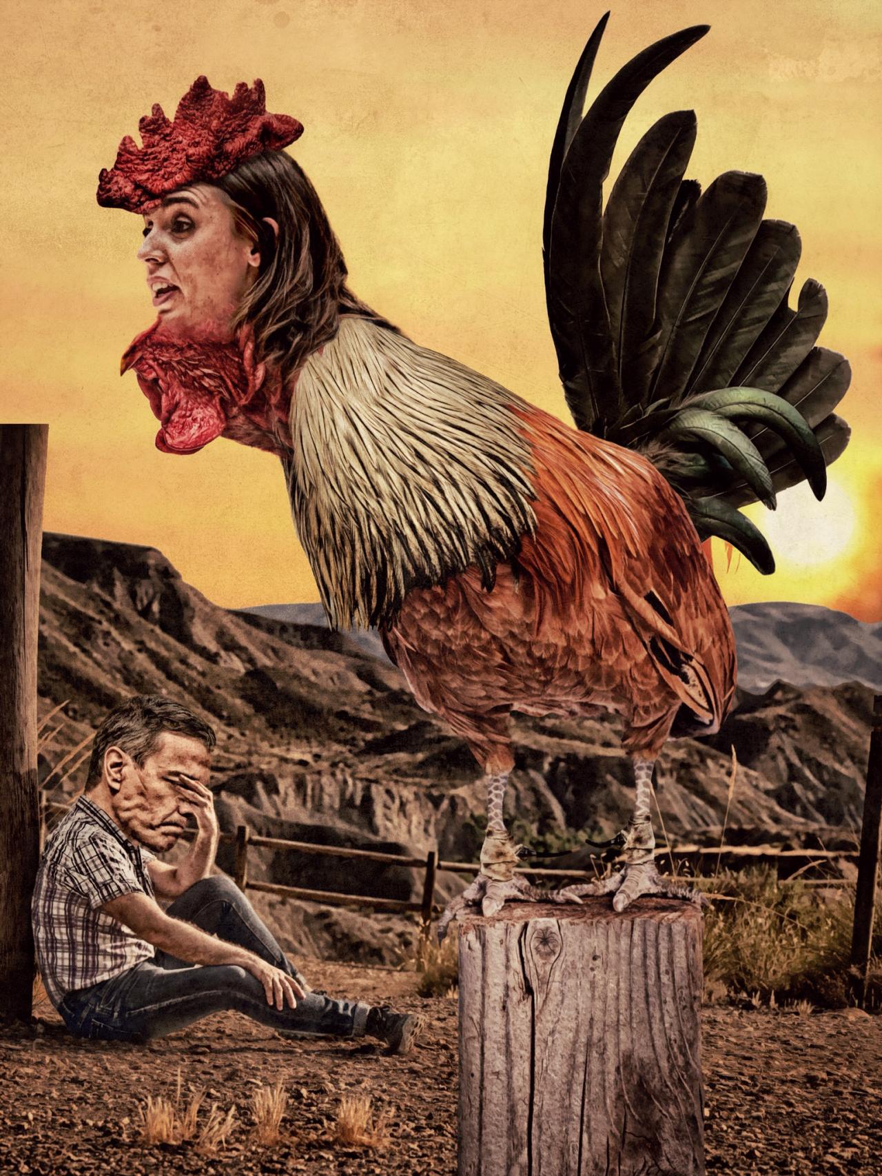 Irene Montero, gallo de Sánchez.