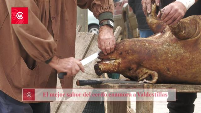 El mejor sabor del cerdo en Valdestillas
