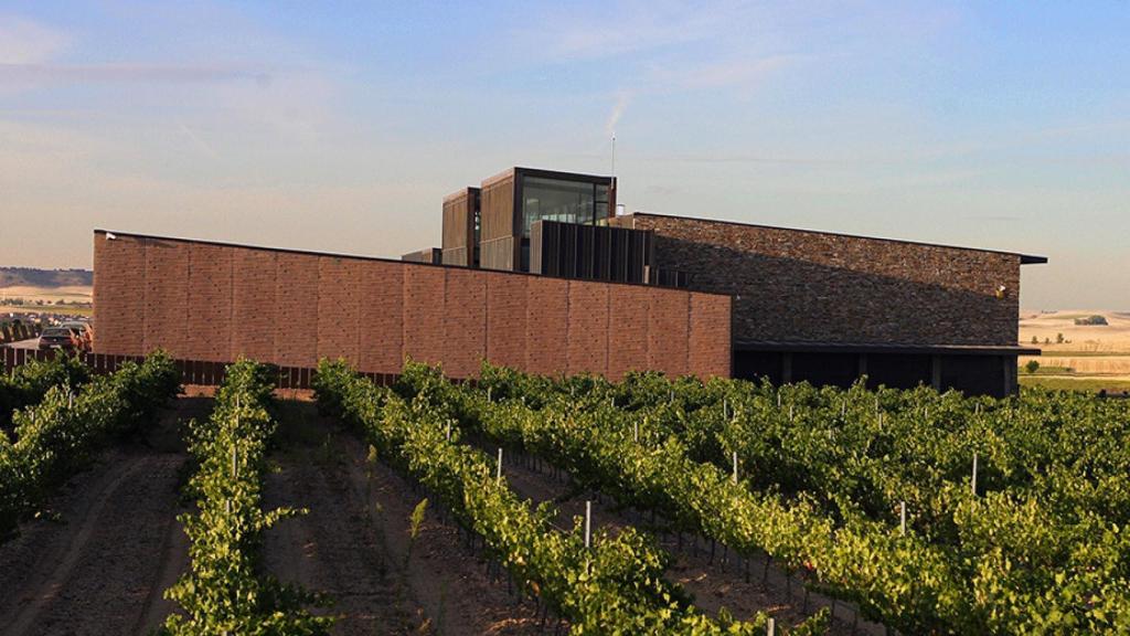 Viñedo y bodegas Buezo
