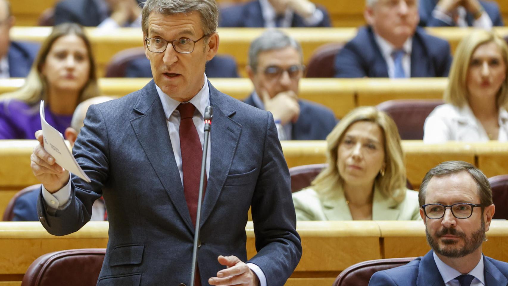 El líder nacional del PP, Alberto Núñez Feijóo, este viernes durante su intervención en el Senado.