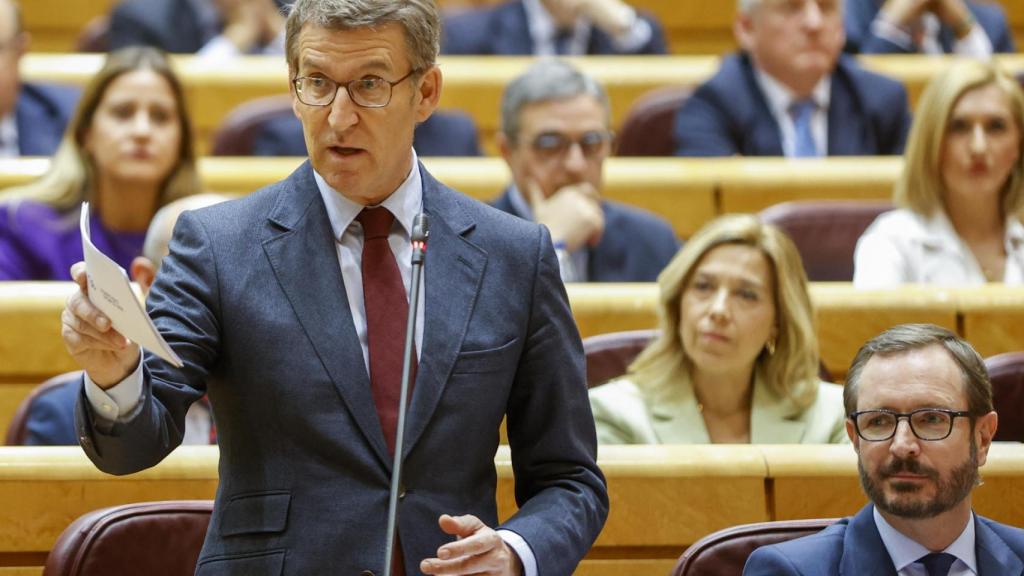 El líder nacional del PP, Alberto Núñez Feijóo, este viernes durante su intervención en el Senado.
