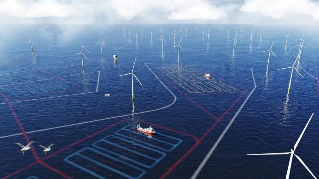 Granja de algas entre aerogeneradores marinos