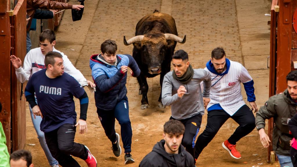 Encierro del martes en el Carnaval del Toro de Ciudad Rodrigo