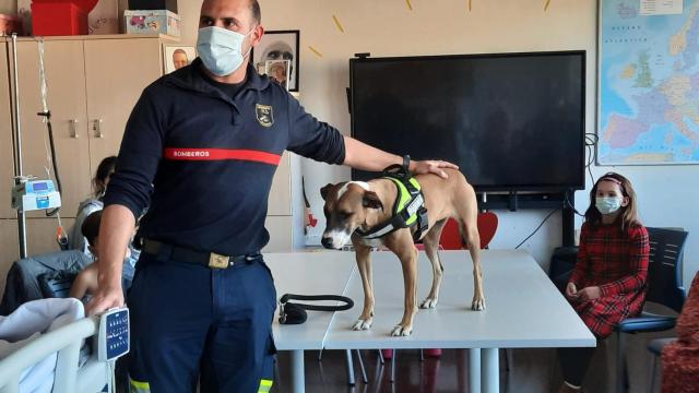 Ángel y Piña en el Hospital de Alicante.