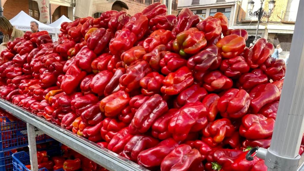 Feria del pimiento en Benavente