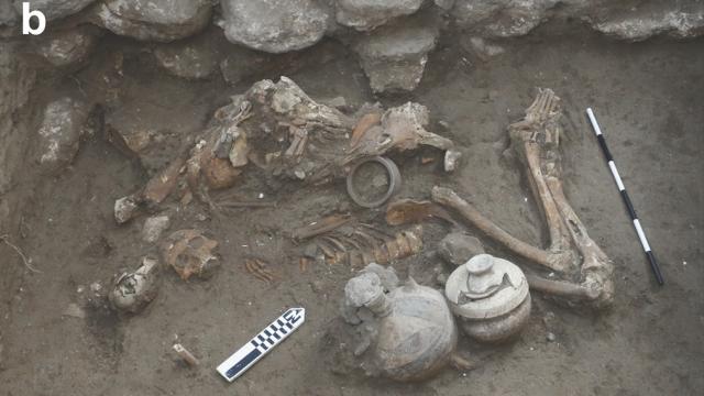 Contexto arqueológico de la tumba de los dos hermanos. Foto: Kalisher et al.